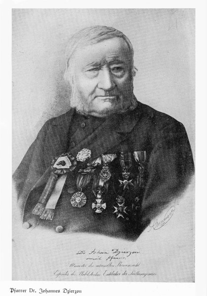 Archiwalny portret Jana Dzierżona, A. Steinmann, ok. 1901 r., domena publiczna