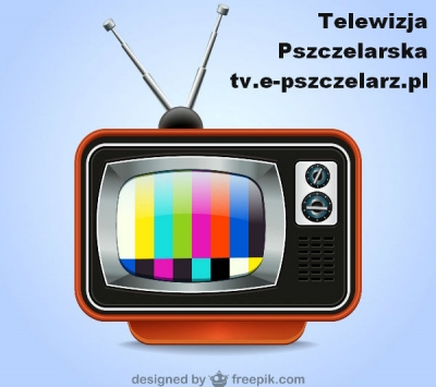 Wychów matek pszczelich / queen rearing - materiał wideo