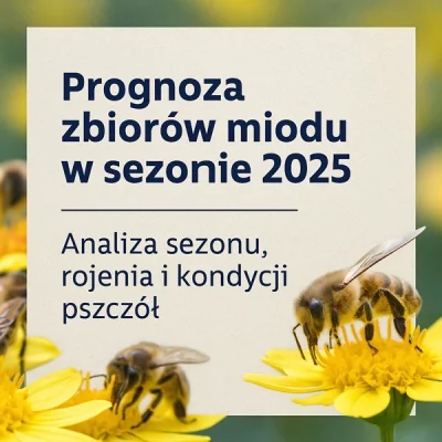 Prognoza Zbiorów Miodu w Sezonie 2025: Szczegółowa Analiza i Wyzwania