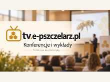 XI Forum Pszczelarskie w Stalowej Woli – wiedza, miód i problemy branży