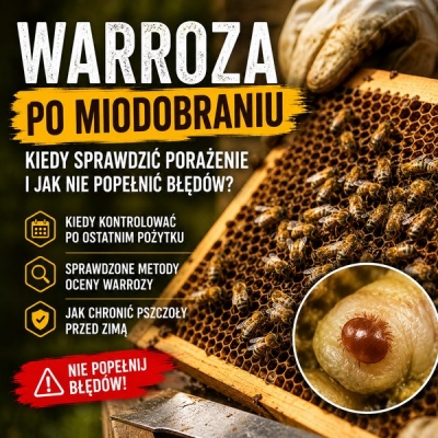 Warroza po miodobraniu: kiedy sprawdzić porażenie i jak nie spóźnić się z reakcją?