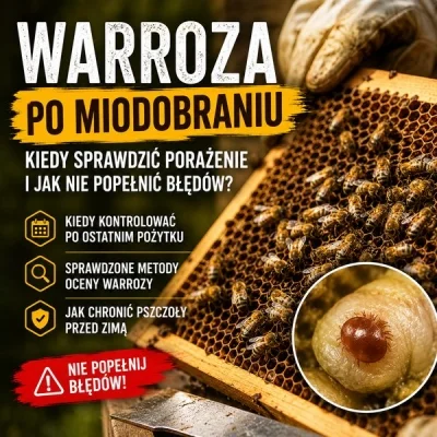 Warroza po miodobraniu: kiedy sprawdzić porażenie i jak nie spóźnić się z reakcją?